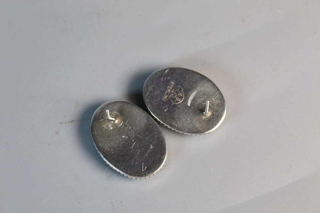 Sterling Turquoise Earrings - 2