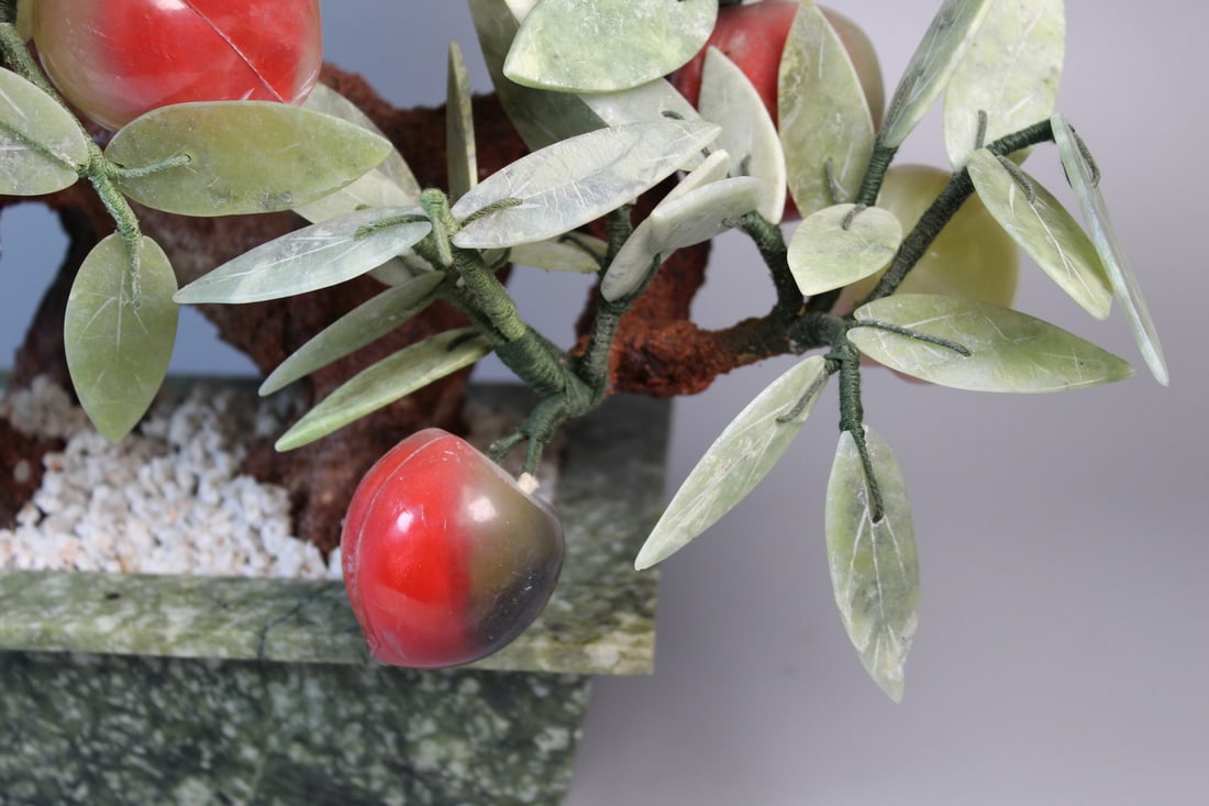 Chines Jade Peach Tree - 7