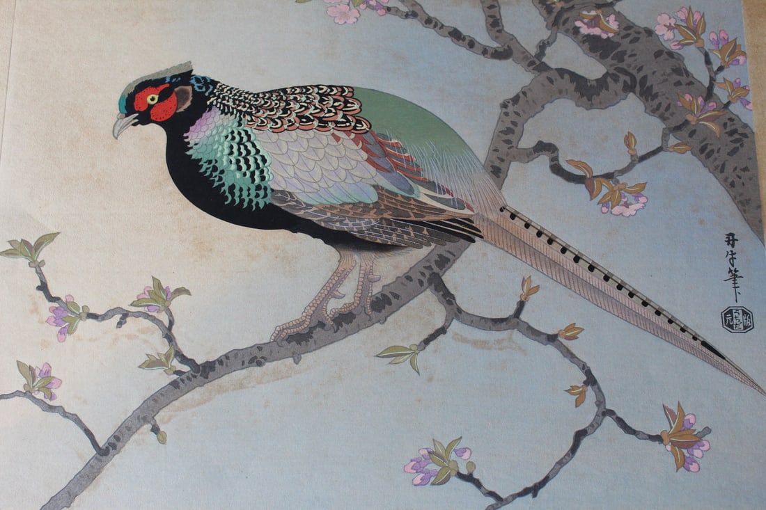 Pheasant, Asada Benji (1899-1984). Japanese Woodblock Print.: Pheasant, Asada Benji (1899-1984). Japanese Woodblock Print.. 17.5x11.75".