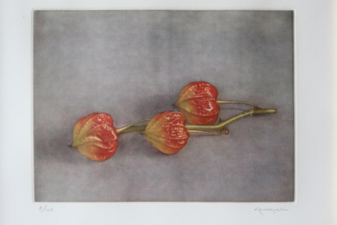 Lantern Flowers, by Kawaguchi, Etching on paper. (1 of 6)