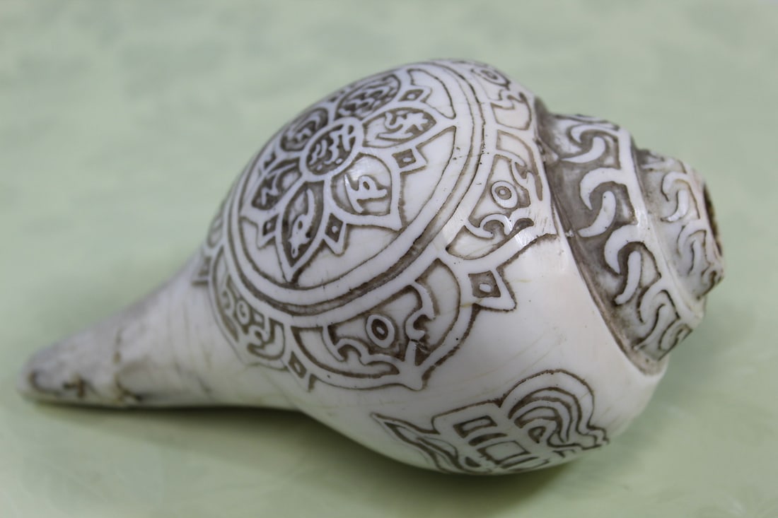 Tibetan Buddhist Conch Shell (1 of 8)