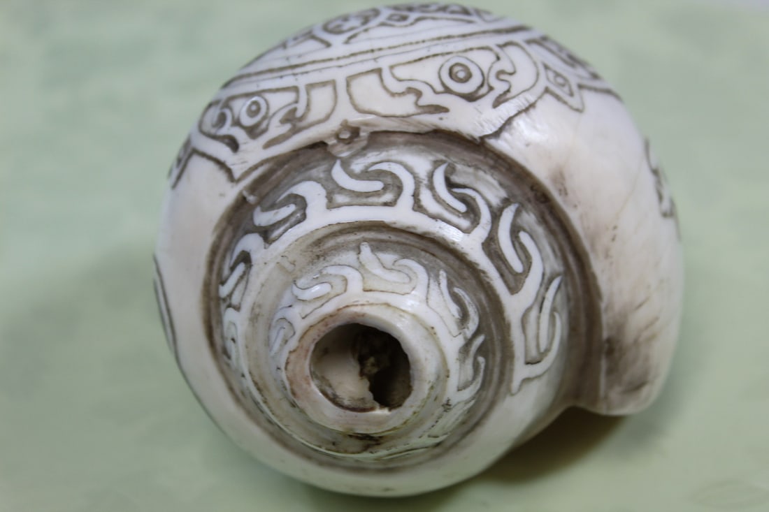 Tibetan Buddhist Conch Shell - 2
