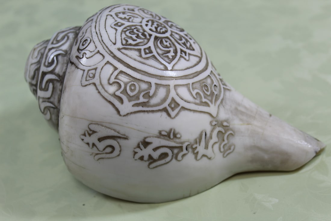 Tibetan Buddhist Conch Shell - 3