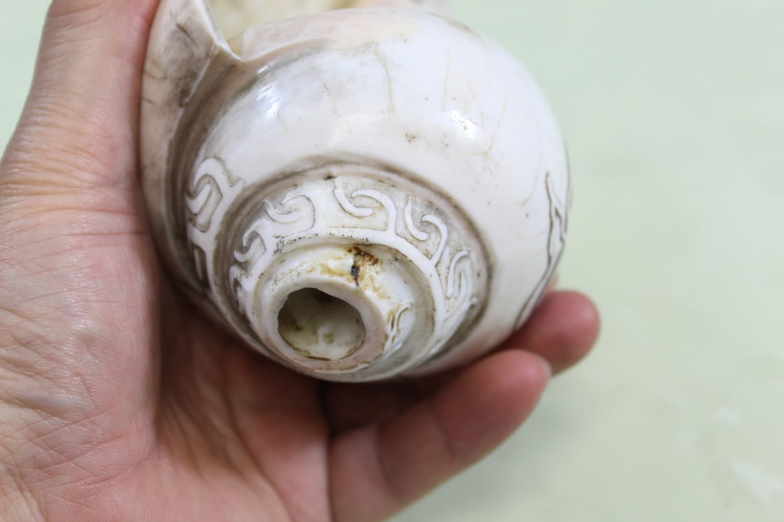Tibetan Buddhist Conch Shell - 5