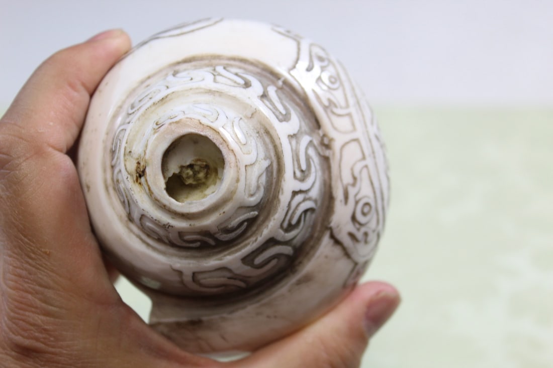 Tibetan Buddhist Conch Shell - 8