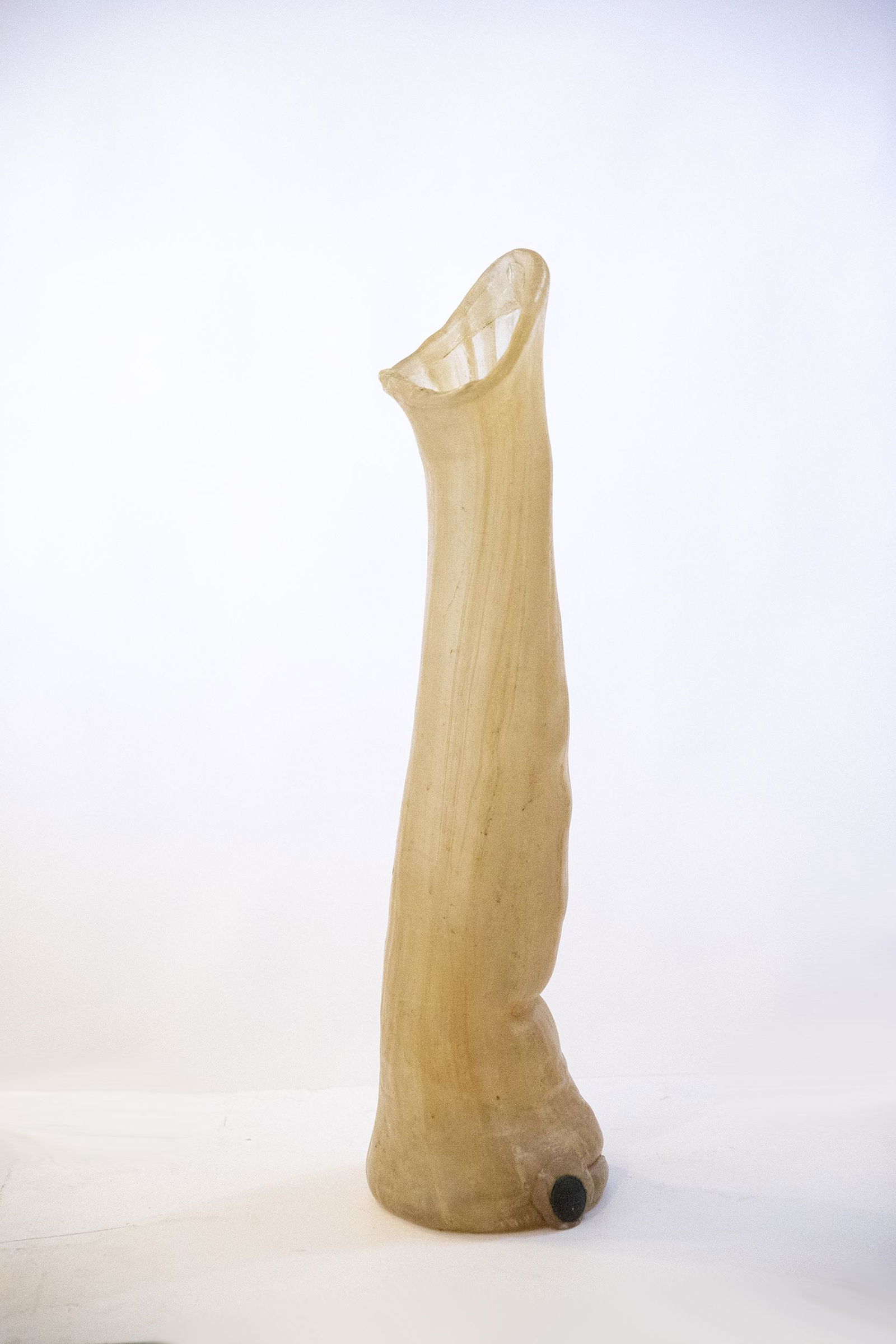 Unknown Artist - Vase (1 of 6)