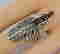 item-60042663=3