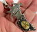 Navajo Sterling Kachina Pendant w/Wild Horse Turq. - 3
