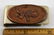 Bell Trading Old Pawn Copper Money Clip - 3