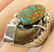 Navajo Sterling Bear Claw Men's Ring w/Royston Turq. - 2