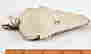 item-132378583=4