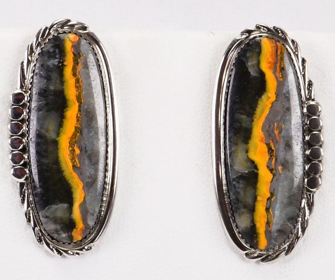 Native American Sterling Silver Turritella Agate Earrings (1 of 3)