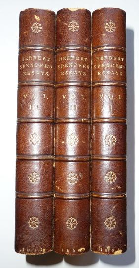herbert spencer essay In this previously unpublished essay, edward caird attacks spencer's transfigured realism, yet the primary foci of the essay were herbert spencer's writings,. herbert spencer essay In this previously unpublished essay, edward caird attacks spencer's transfigured realism, yet the primary foci of the essay were herbert spencer's writings,.