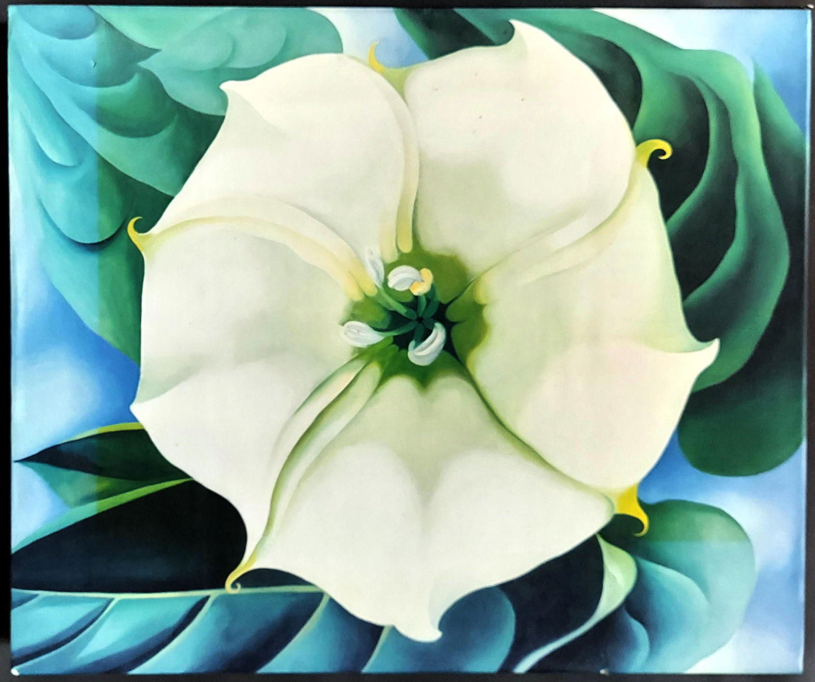 Georgia O'keeffe One Hundred Flowers 1987 1st Edition