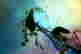 item-131310932=3