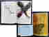 item-131311017=9