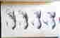 item-131311145=13