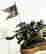 item-131923826=11