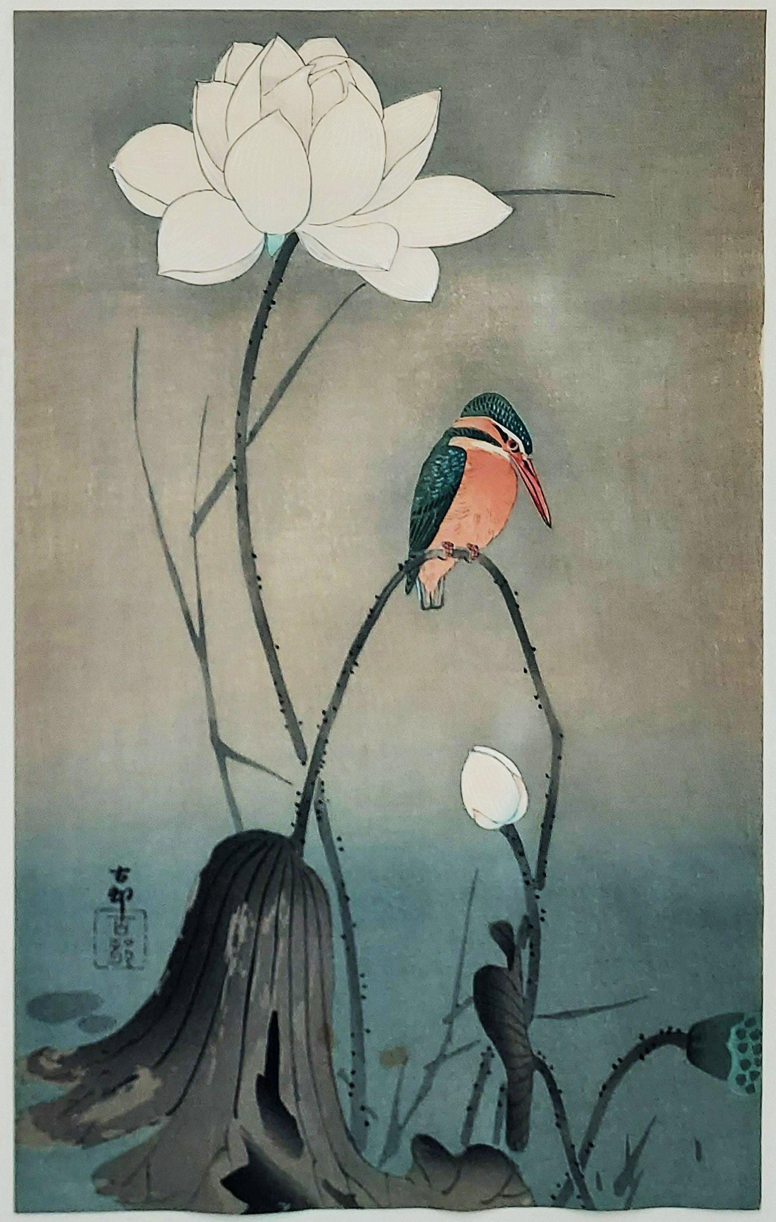 Ohara Koson: Kingfisher with Lotus 1920s Woodblock: Kingfisher with Lotus Flower, woodblock. Artist: Koson Ohara (Japanese, 1877-1945) Publisher: Nishinomiya Yosaku Date: 1920s Dimensions: Large Oban, Sight 16x10, Frame 26x19 inches Seal and Signature 