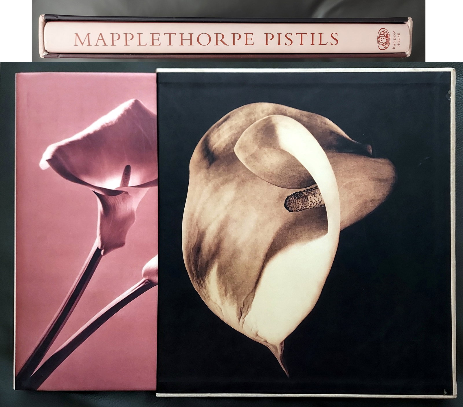 Mapplethorpe Pistils, Monograph, 1996 First Edition (1 of 9)