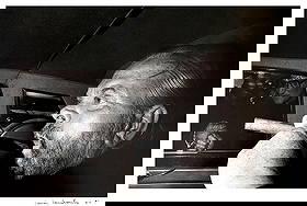 Xavier Lambours: Orson Welles at the César Awards Paris 1982: Xavier Lambours (French, b.1955) Orson Welles at the César Awards in Paris, 1982. Signed and dated at the lower right: Xavier Lambours, 1984. Gelatin silver print 1984. Frame 19.25 x 14.5, Sight 15 x