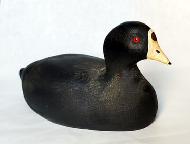 Coot Decoy Herter's Inc. 1893 Series, 1960-70s