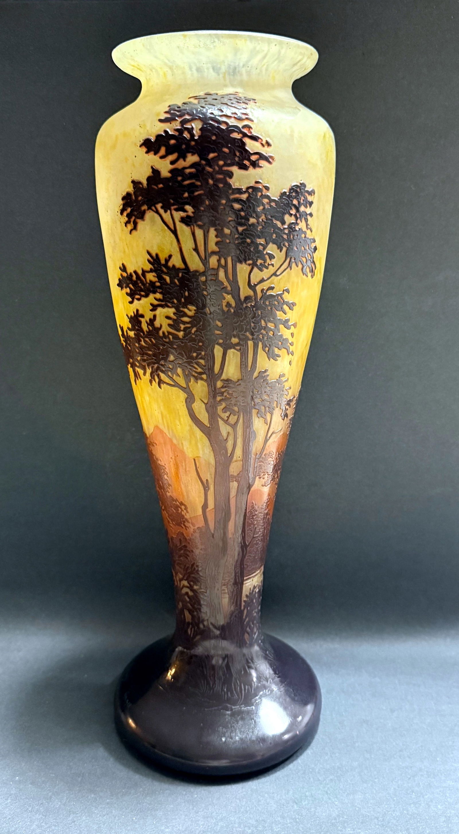 Daum Nancy Art Nouveau Cameo Glass Vase, c.1908 (1 of 9)