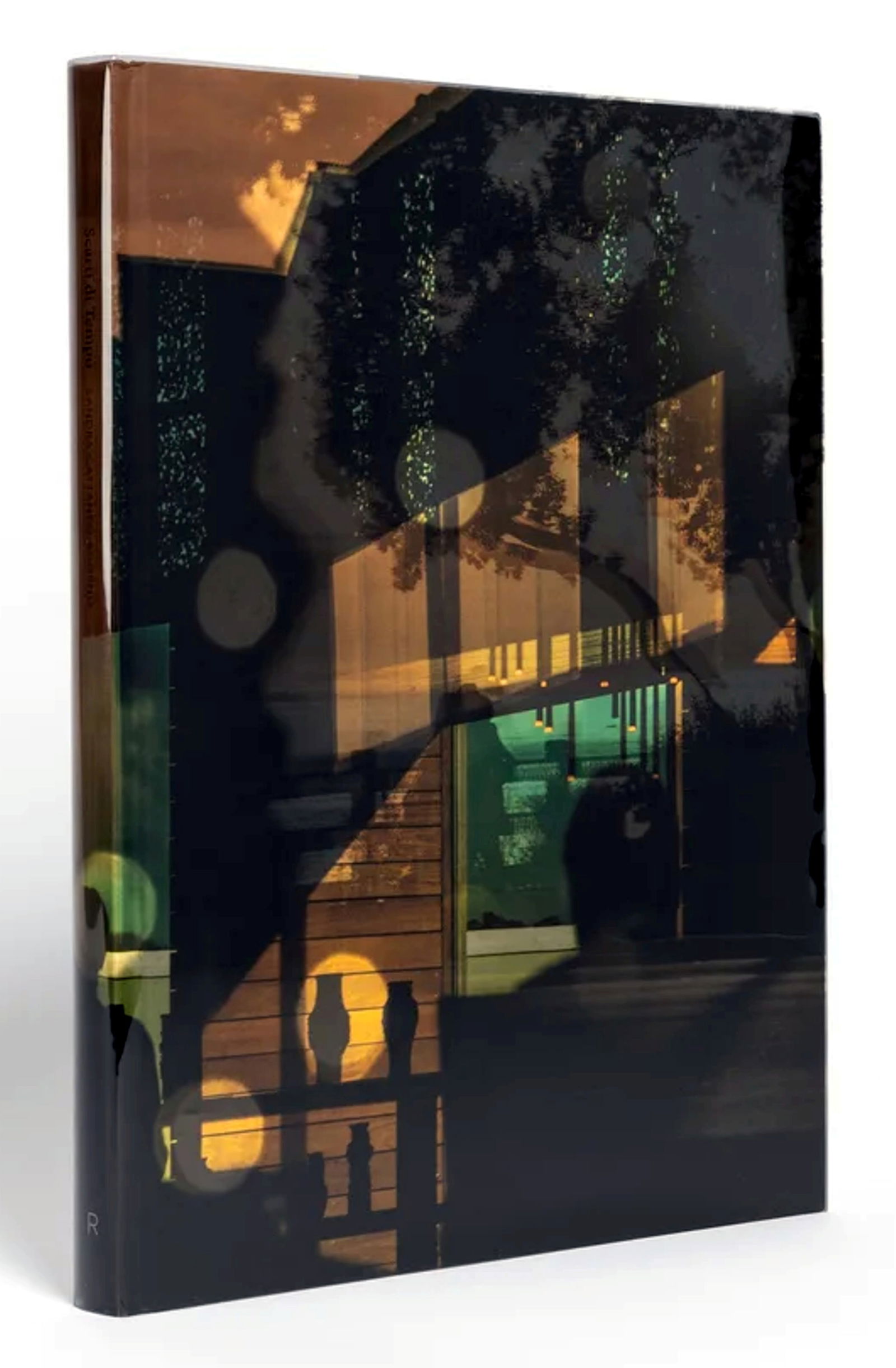 Sandra Cattaneo Adorno: Scarti Di Tempo 2022 First Edition: Photographer Sandra Cattaneo Adorno: Scarti Di Tempo (Scraps of Time). Publisher sealed. First Edition 2022 by Radius Books, Santa Fe. Out of Print – Very Scarce! Text: Rebecca Norris Webb, Gueorgui