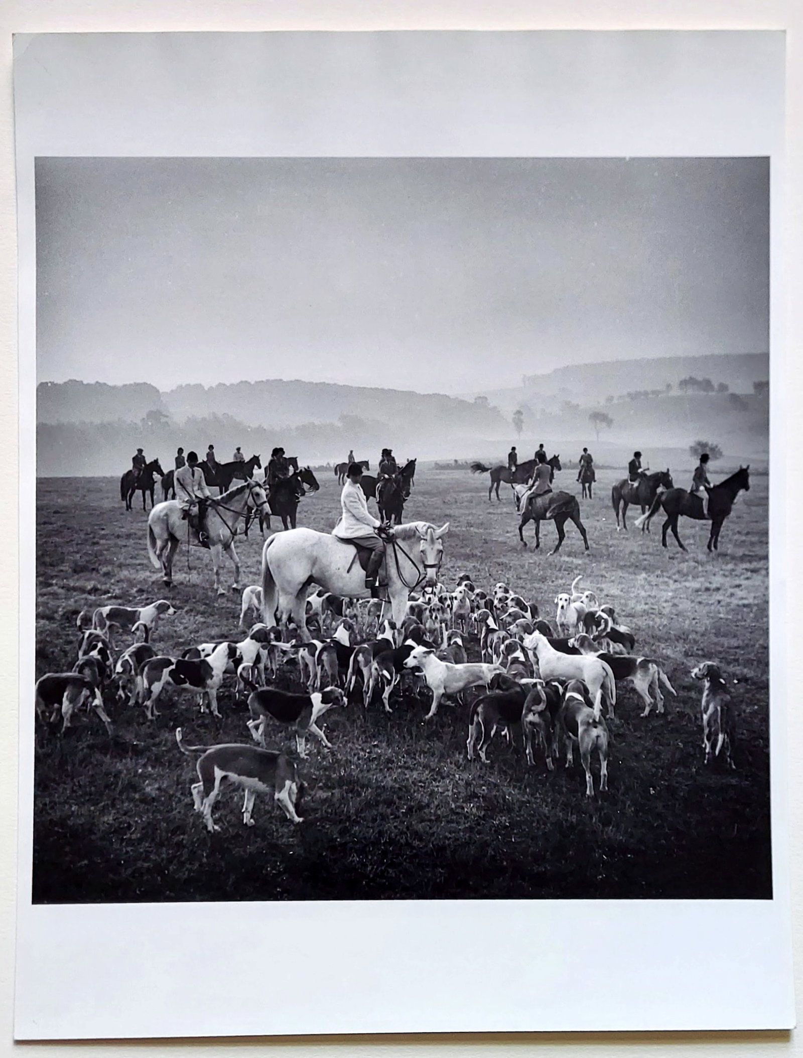 Toni Frissell: Cubbing Chesire Hounds at Unionville 1953 Gelatin Silver Print (1 of 5)