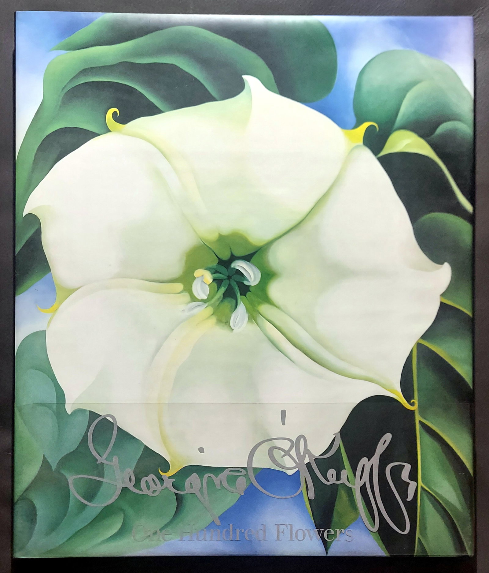 Georgia O'Keeffe: One Hundred Flowers, 1987 First Edition: Georgia O'Keeffe (American,1887-1986): One Hundred Flowers First Edition, First Printing by Alfred A. Knopf, New York, 1987 14 x 14 hardcover In dust wrapper with acetate wraparound band, in publisher