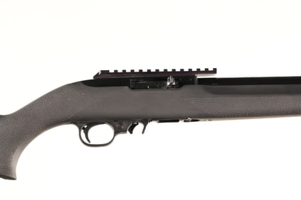 Ruger 10-22 Semi Rifle .22 lr
