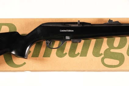 Remington 597 Dale Earnhardt Semi Rifle .22lr