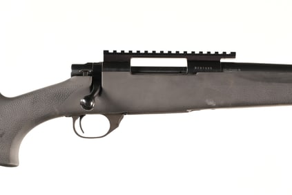 Howa 1500 Bolt Rifle .22 LR