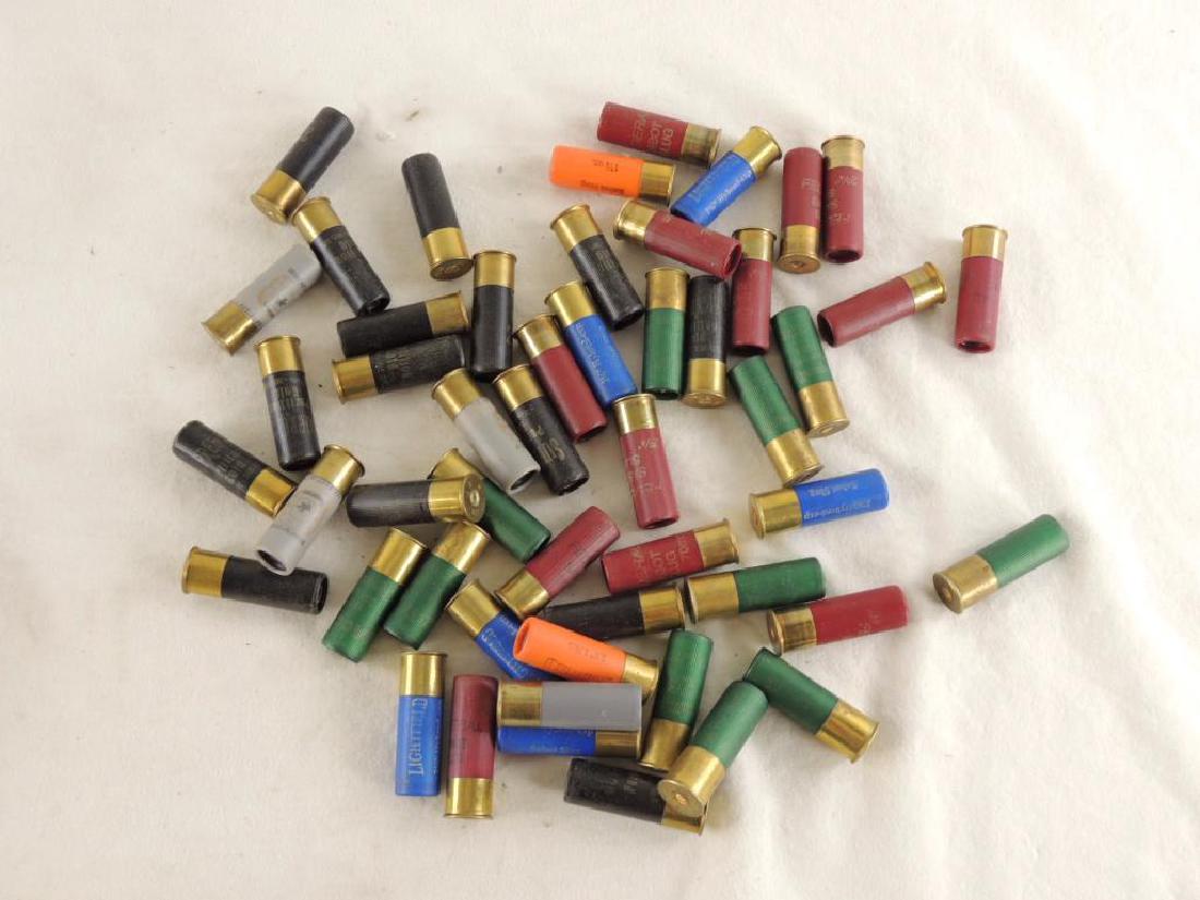 Group of 12 GA Shotgun Shells (1 of 1)