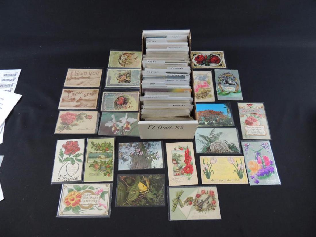 Approximately 700 Plus Flower Postcards (1 of 6)