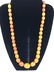 Genuine Butterscotch Baltic Amber Bead Necklace