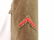 WW1 U.S. Army 41st Division Uniform Grouping - 8