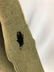 WW1 U.S. Army Air Service Corporals Tunic with Patches - 9