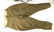 WW1 U.S. Army 29th Division 154th Infantry A Co. - 8