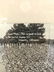 WW1 5000 Men-The Largest School in the US for Infantry - 2