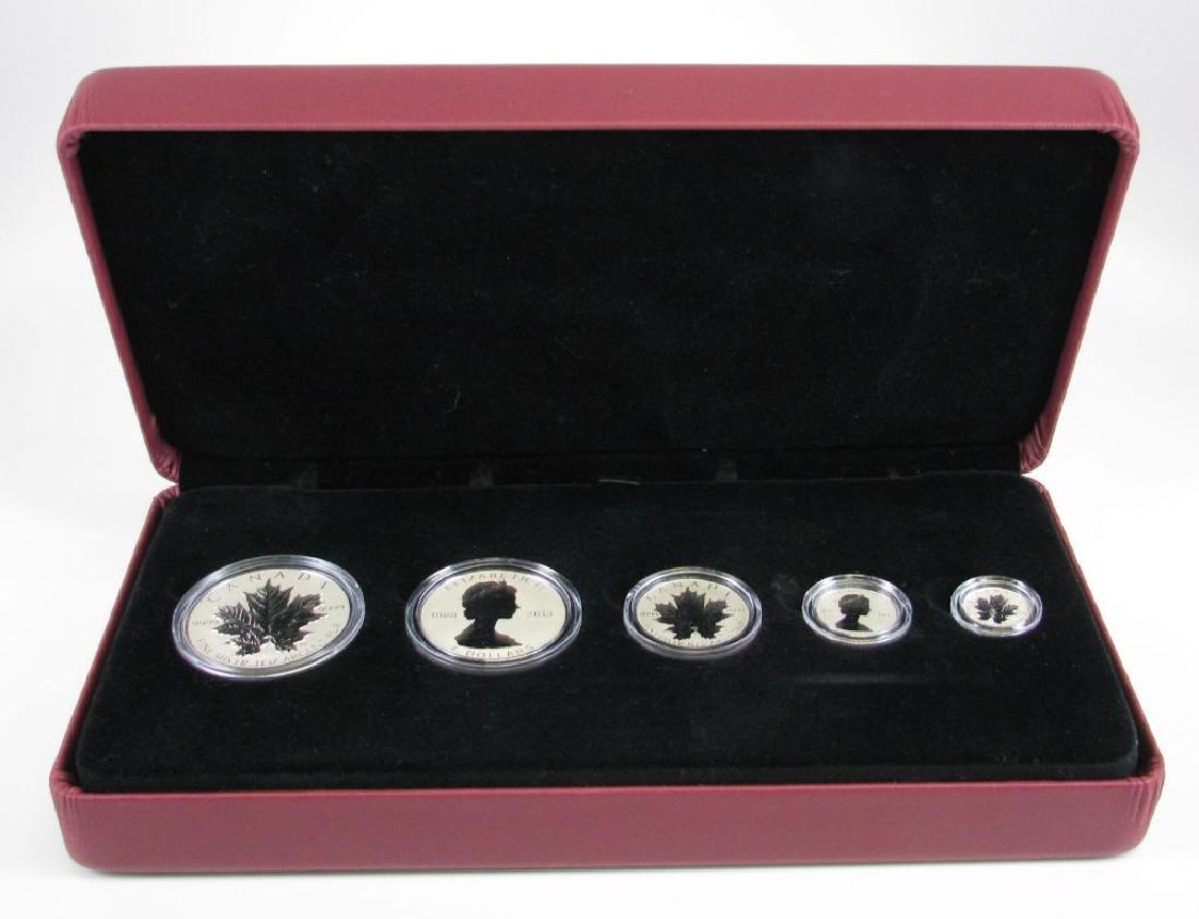 2013 Silver Maple Leaf Fractional Set (1 of 5)