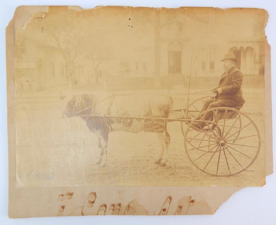 Interesting "Cow Cart" Matted Photo by F. Kane: Photo and mat damaged 14x11