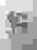 item-75245574=2