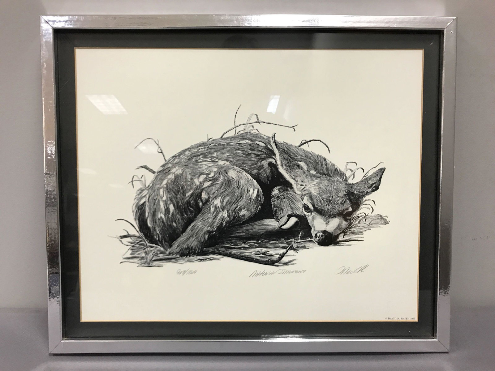 Framed Signed artwork Natural Innocence: David N Smith 1973, 909/1000, 23 x 19
