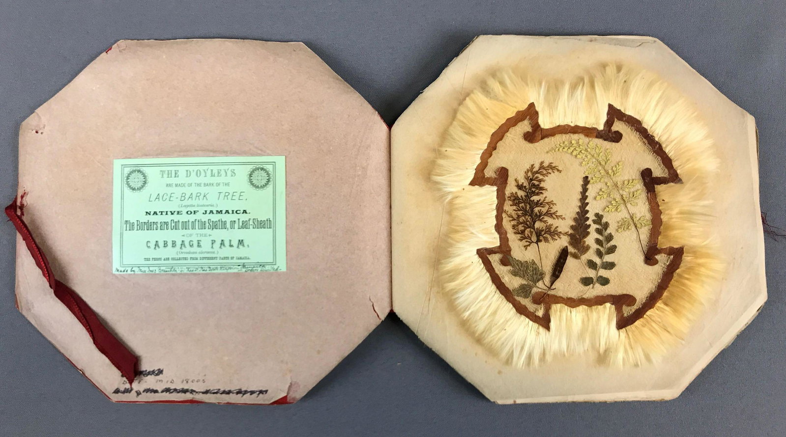 Antique Jamaican Lace Bark Doilies/Doyleys: In original packaging. Doilies are beautiful and in good condition. Packaging has age wear. Deaccessioned by the Valentine Museum to benefit collections care, preservation and future acquisitions.