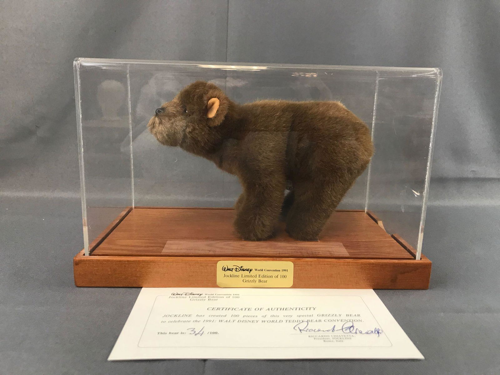 Jockline Grizzly Bear for 1991 WDW Teddy Bear (1 of 8)