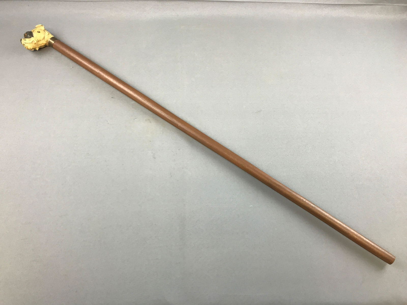 Vintage Cane with carved dog head handle (1 of 5)