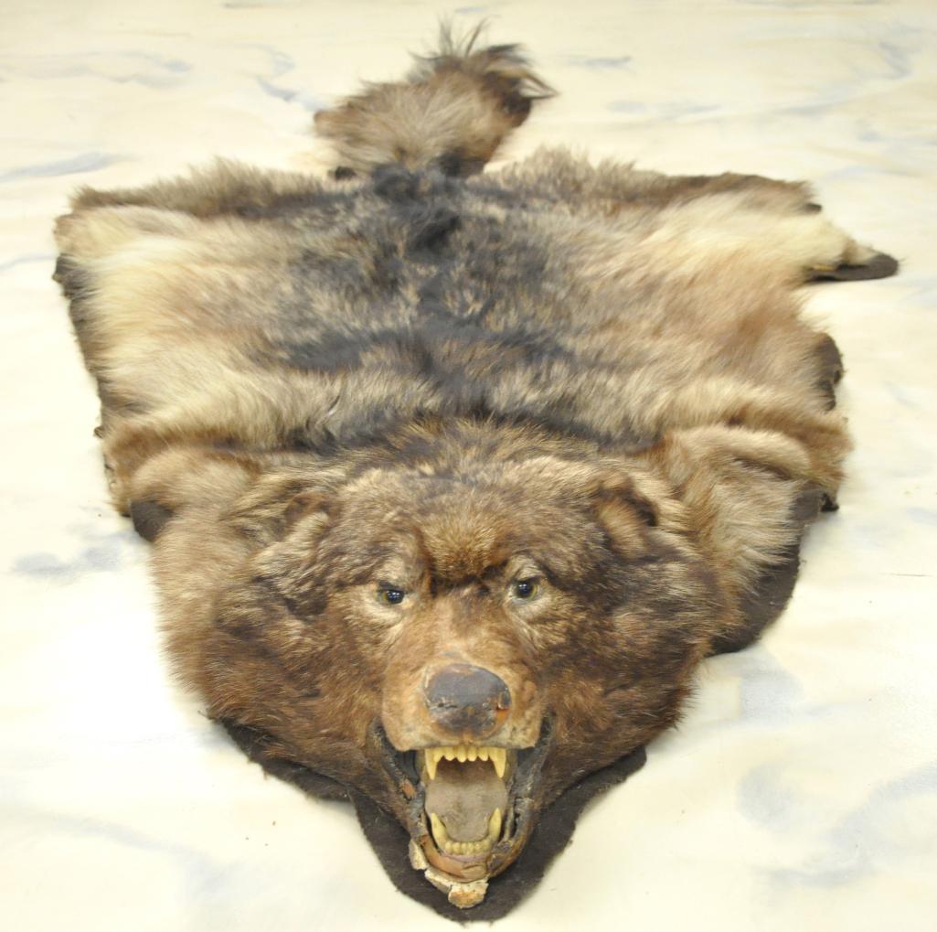 Wolf Fur Rug Mount (1 of 7)