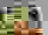 item-84054151=4
