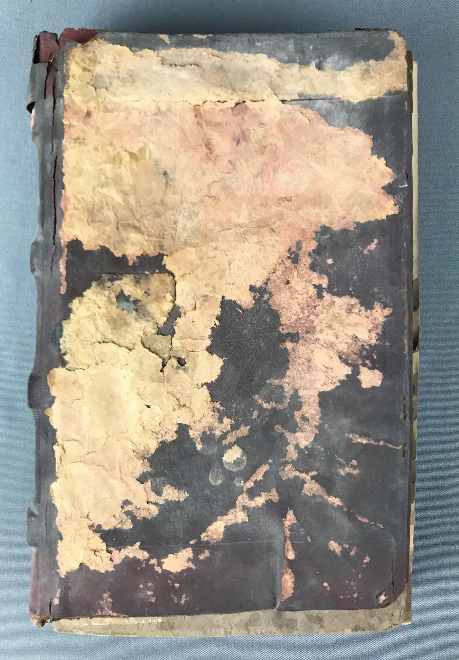 Antique (1895) Ledger from the Nash Grocery : Downers: Located in Downers Grove, Illinois. Dates back to 1895. Damaged leather bound boards and spine